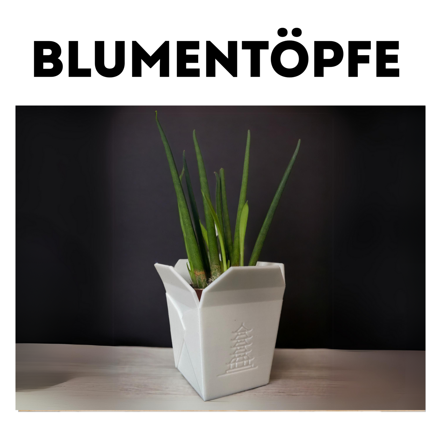 Blumentöpfe