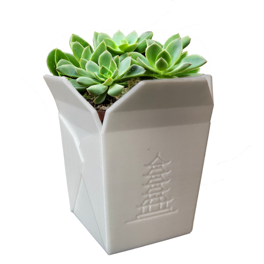 Chinesische Nudelbox Blumentopf Weiß - Chinesisch Takeout Box - Sukkulenten Topf - Übertopf Lustig - Pflanzentopf Witzig - Blumenübertopf